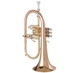 Getzen 3895GB Custom Series Bb Flugelhorn